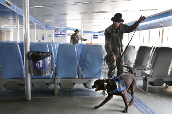 Policiais militares reforçam treinamento para os Jogos Olímpicos (Divulgação / Clarice Castro)