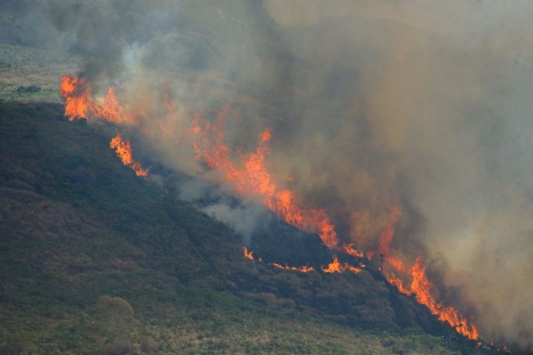 Fogo destruiu o equivalente a 916 mil campos de futebol em reservas federais