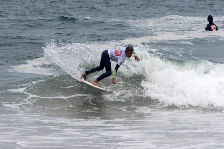 surfe2