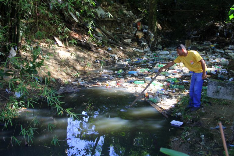 Sapê recebe ações de preservação ambiental