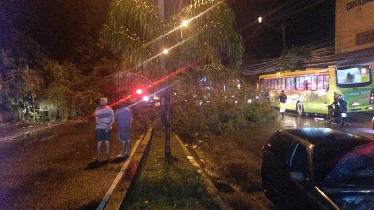 Forte chuva causa estragos em Niterói e São Gonçalo