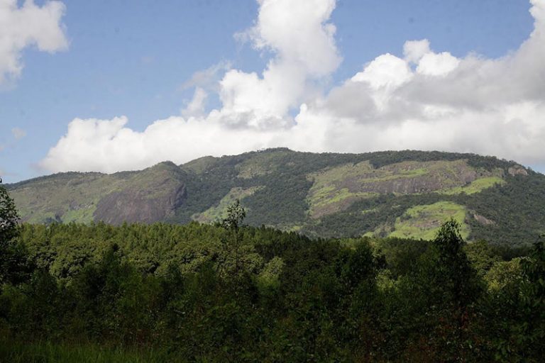 alto do gaia