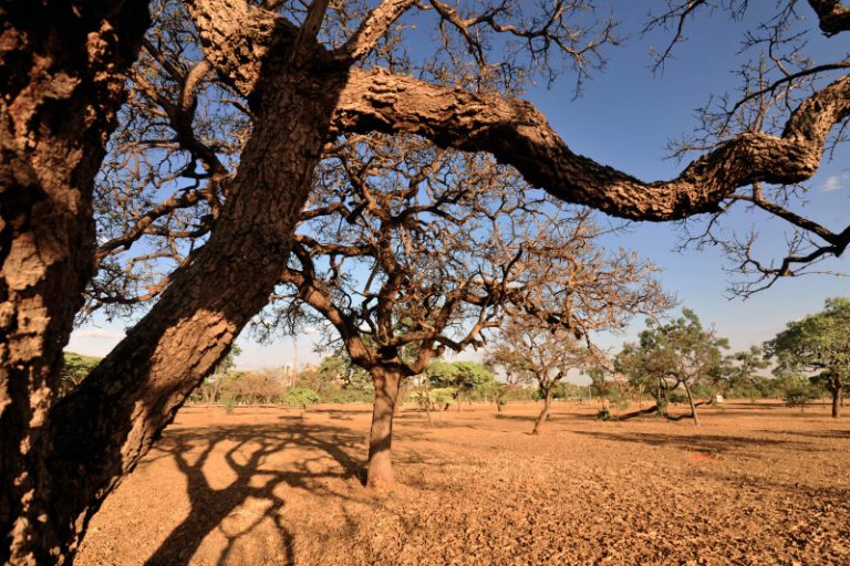Alterações climáticas ameaçam ganhos conseguidos na saúde