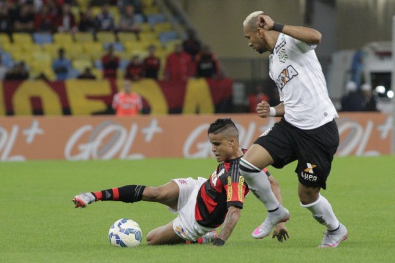 flaxfigueira