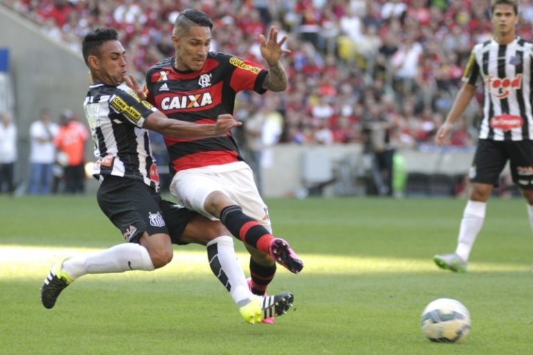 flaxsantos