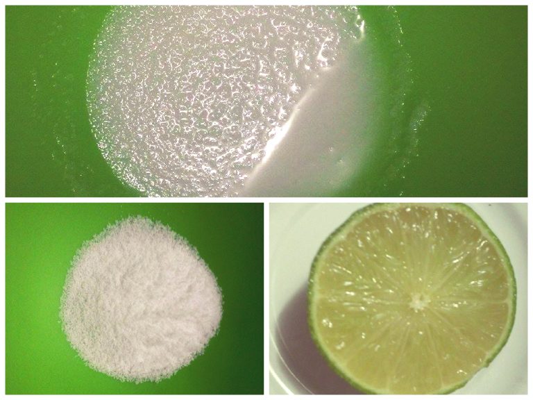 receita para cravos