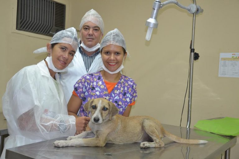 castracoes