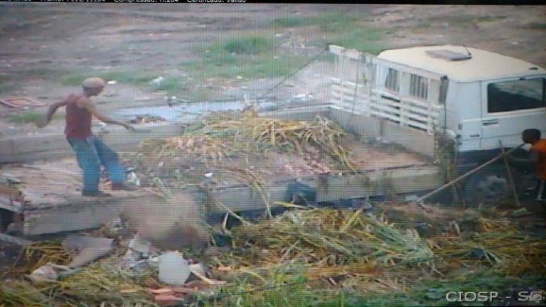 Videomonitoramento flagra despejo irregular em São Gonçalo