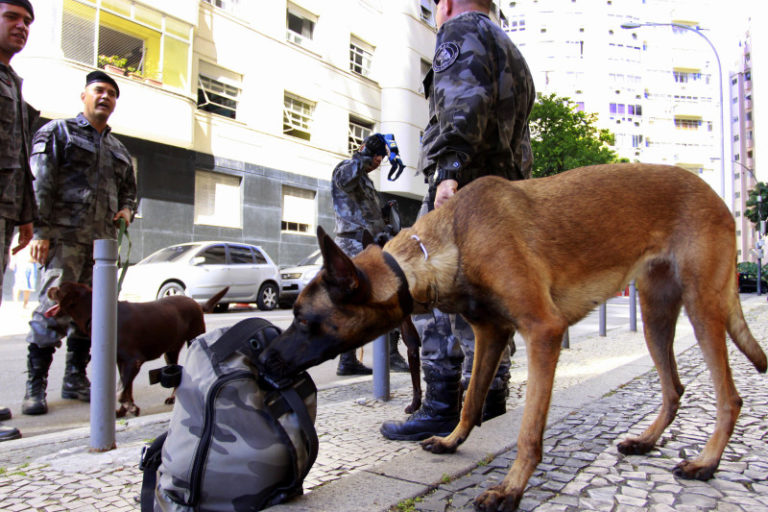 Cães do BAC realizam treinamento no Consulado da Inglaterra