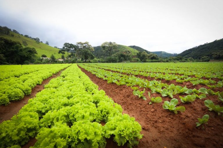 RIO RURAL