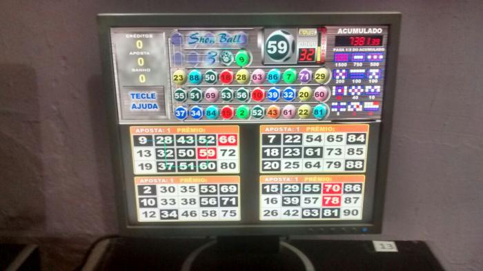 bingo-1