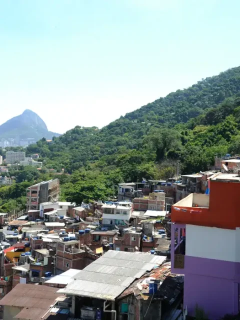 dona marta