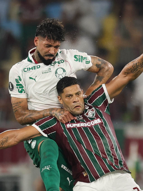 14102026_cg_palmeiras_5135_52