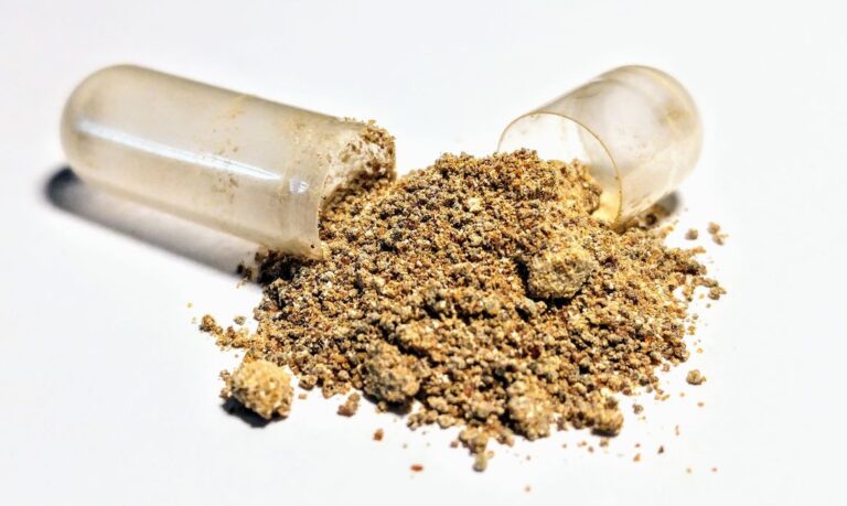 Raízes e pó de ashwagandha, erva usada em suplementos, sobre superfície clara